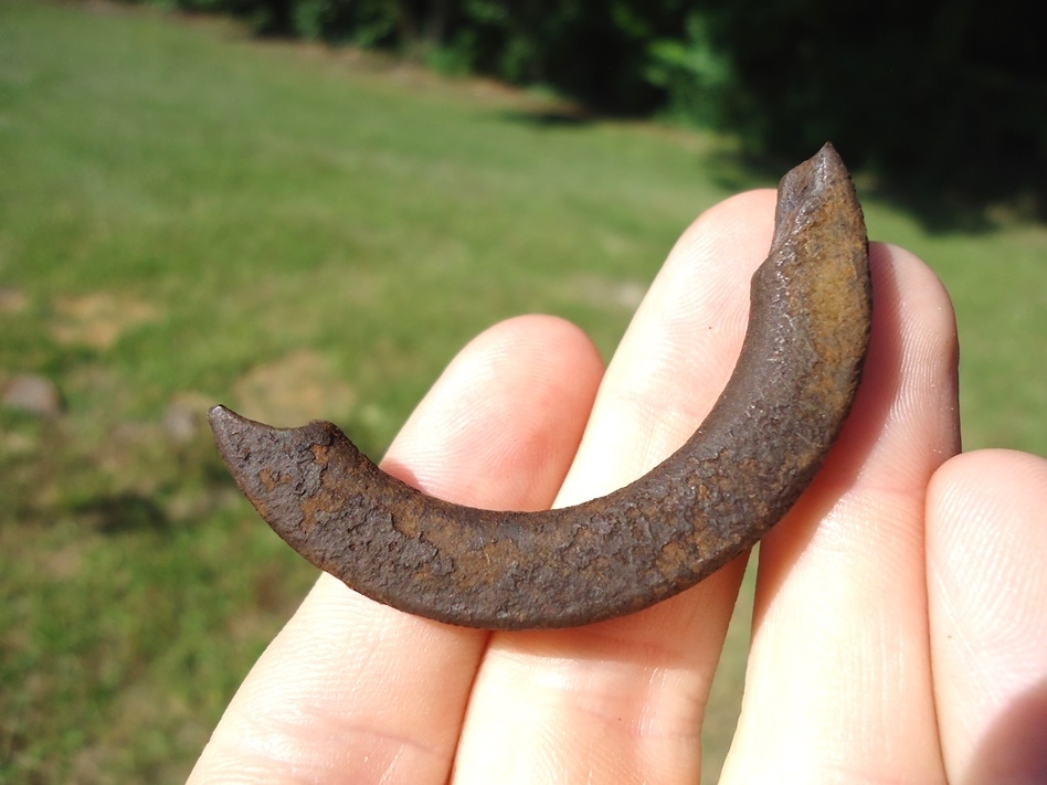 Large image 1 Excellent Beaver Upper Incisor Tooth