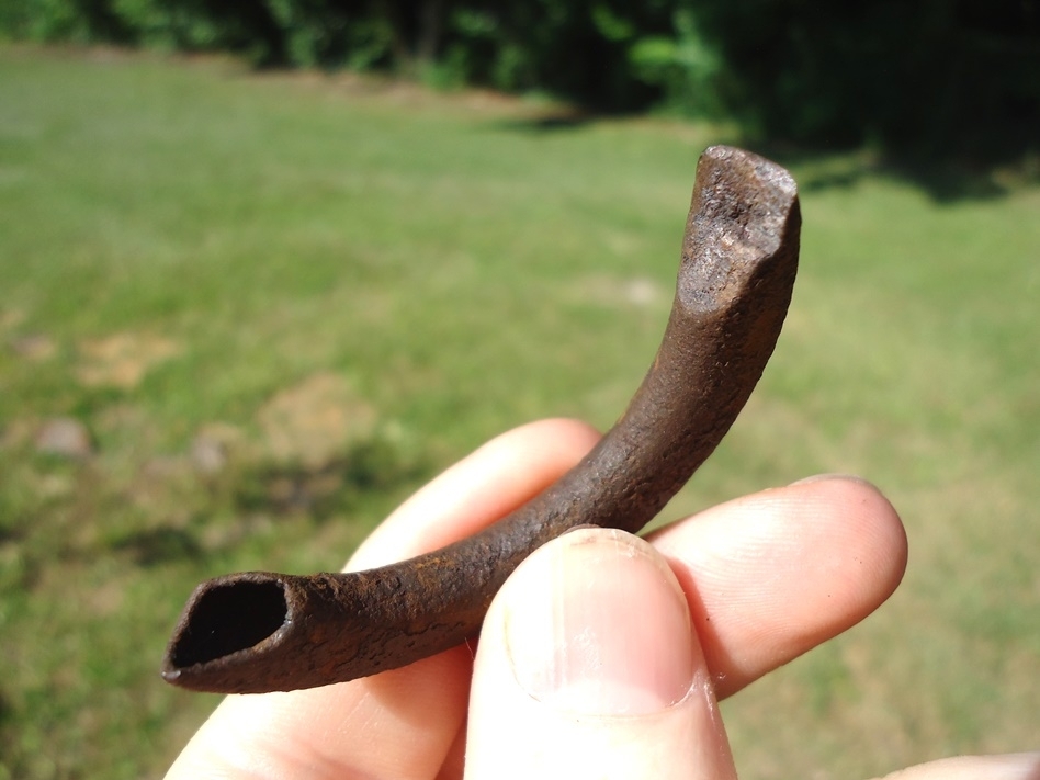Large image 2 Excellent Beaver Upper Incisor Tooth