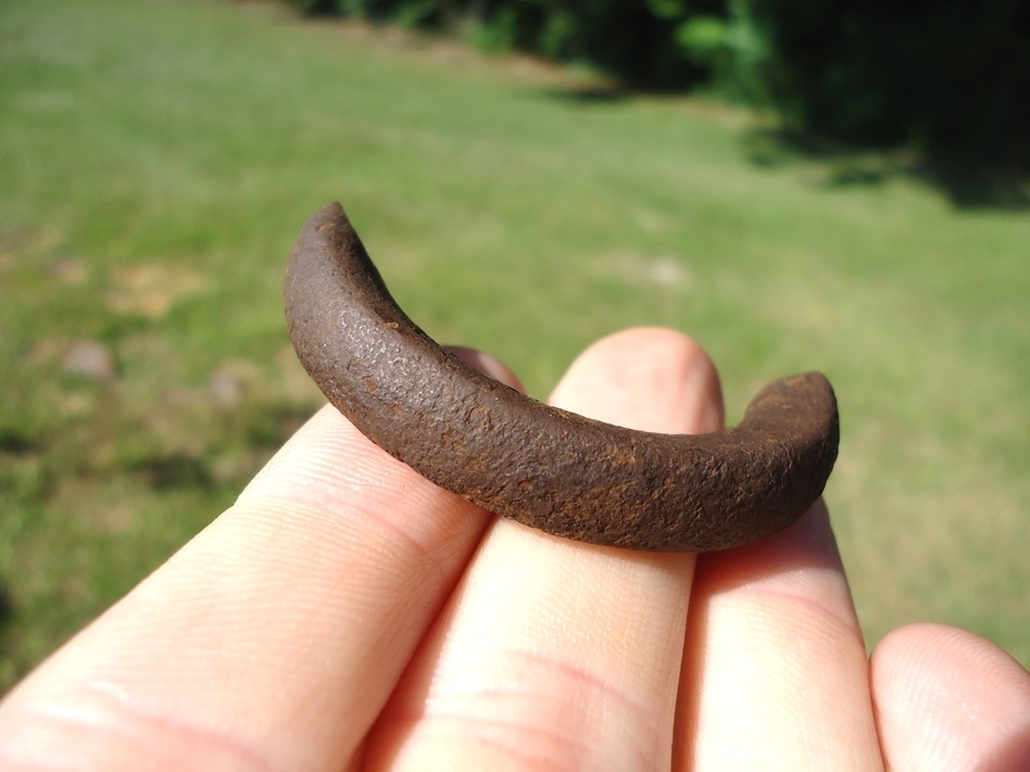 Large image 3 Excellent Beaver Upper Incisor Tooth