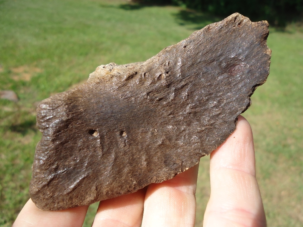 Large image 5 XL Top Quality Bison Hoof Core