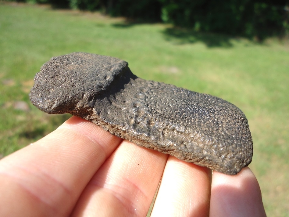 Large image 1 Choice Giant Armadillo Flex Scute
