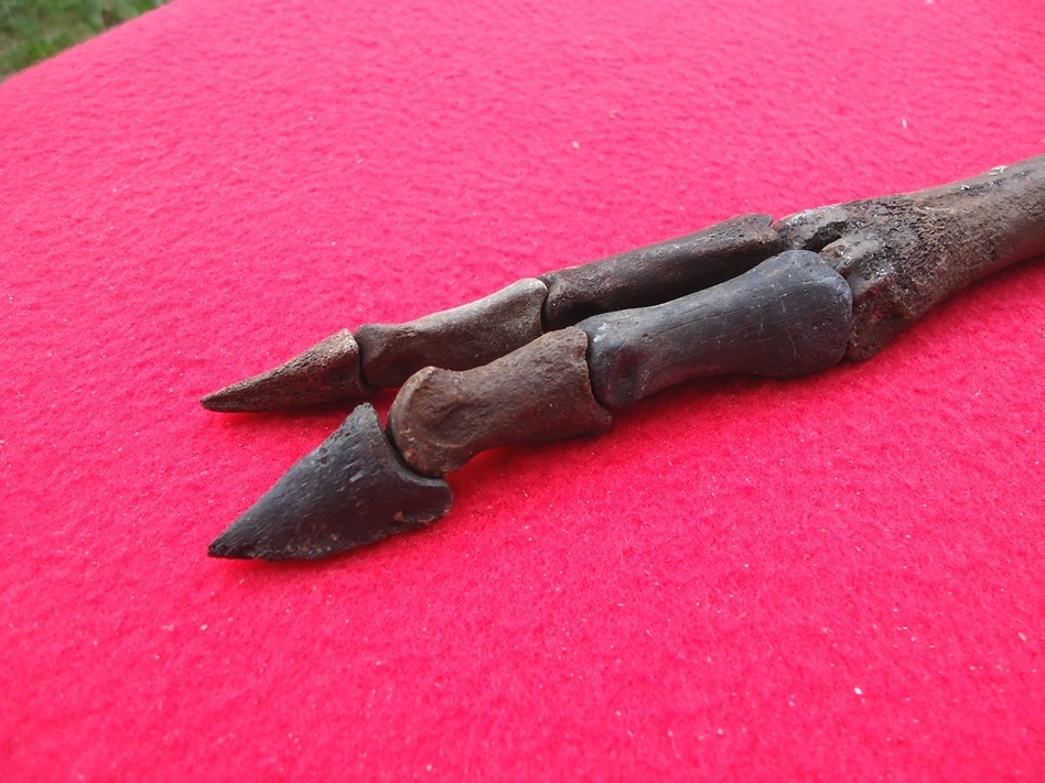 Large image 2 Deer Leg Mount